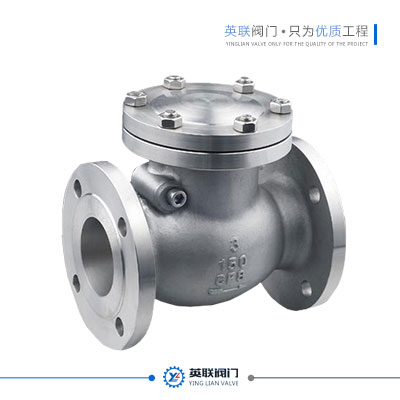 Check Valve