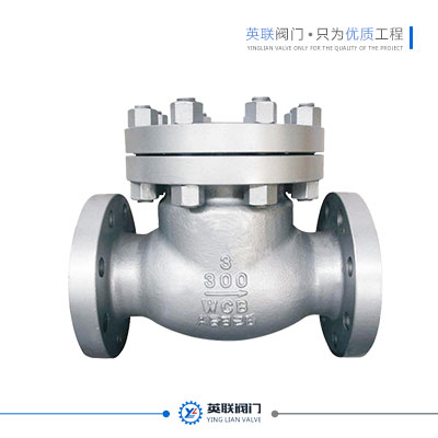 Check Valve